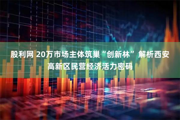 股利网 20万市场主体筑巢“创新林” 解析西安高新区民营经济活力密码