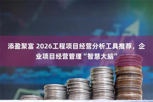 添盈聚富 2026工程项目经营分析工具推荐，企业项目经营管理“智慧大脑”