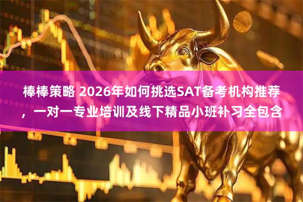 棒棒策略 2026年如何挑选SAT备考机构推荐，一对一专业培训及线下精品小班补习全包含