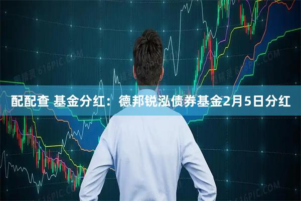 配配查 基金分红：德邦锐泓债券基金2月5日分红