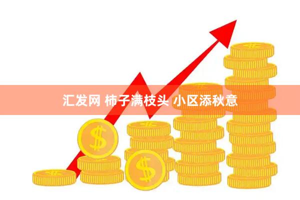 汇发网 柿子满枝头 小区添秋意