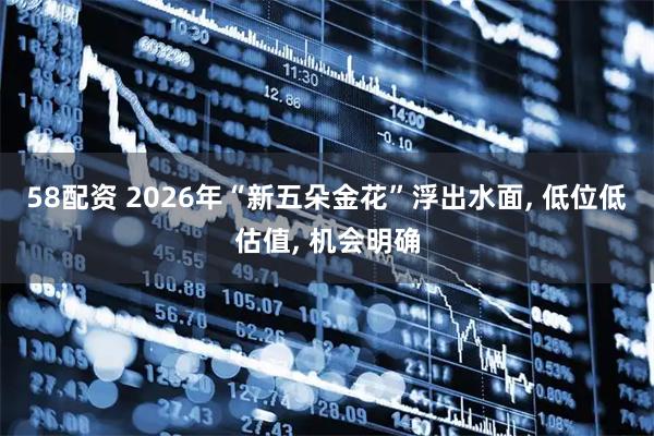 58配资 2026年“新五朵金花”浮出水面, 低位低估值, 机会明确